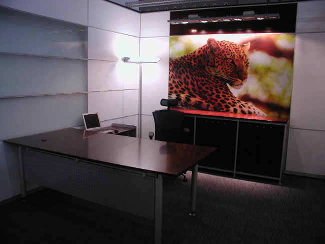 High wall glass case