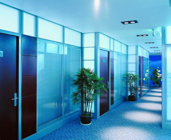 High wall glass case
